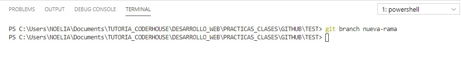 consola de git